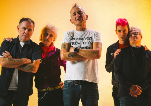 Les wampas en concert au damfest 2026